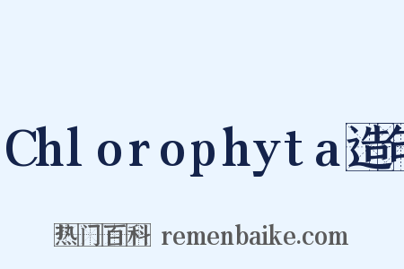 Chlorophyta造句是什么意思的图片